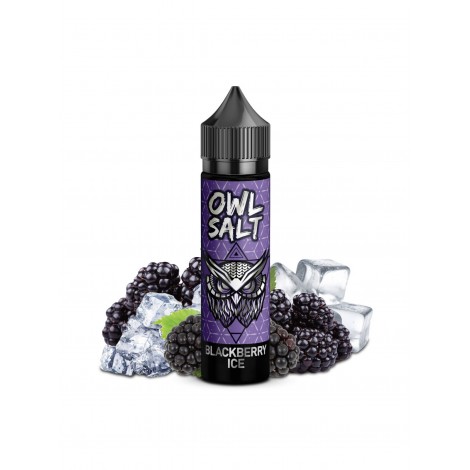 OWL Salt Longfill Blackberry Ice 10 ml Aroma in 60 ml Flasche