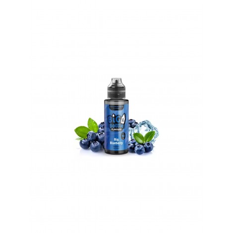 Big Bottle Flavours Aroma - Big Blueberry - 10ml in 120ml Flasche