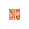 HQD SURV - Mango Melon Ice (Mango-Melone-Eis) - Einweg E-Shisha - 18 mg - 600 Züge