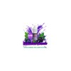 Bad Candy - Blackcurrant Lemonade - Aroma 10ml