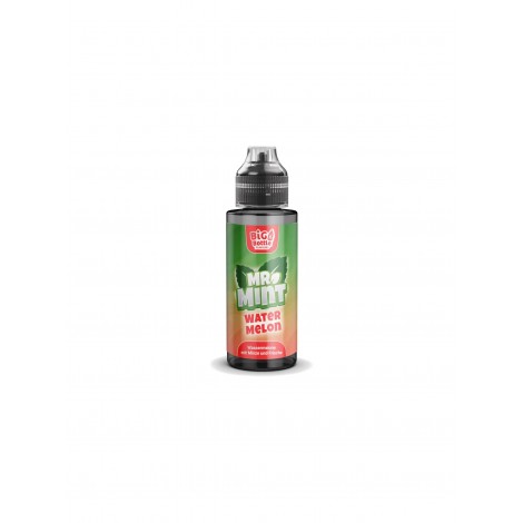 Mr. Mint by Big Bottle - Watermelon - 10ml Aroma in Longfill 120ml Flasche