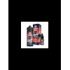 Samurai Kyoto 10ml Aroma in 120ml Chubby