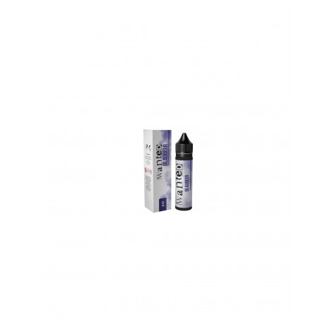 Wanted Aroma Longfill - Blaubeer - 10ml in 60ml Flasche