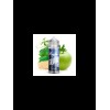 Kapka`s Aroma Longfill - Sturm - 10ml in 120ml Flasche
